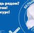 Белый медведь по соседству: как пройти курс и избежать опасной встречи - Городской округ Эгвекинот